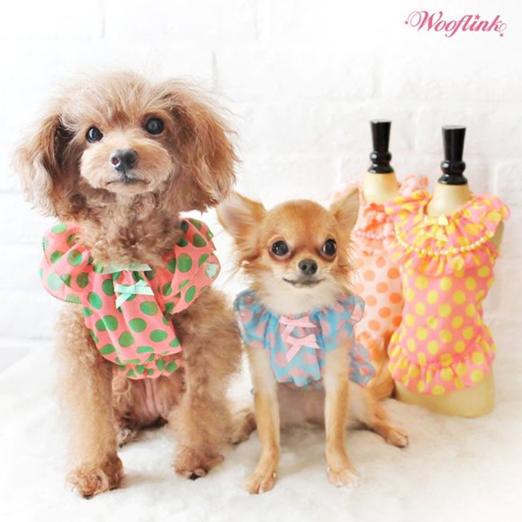 Baby Doll 2 Dog Mini Dress by Wooflink SIZE 1  Blue with Pink Polka - Picture 5 of 7